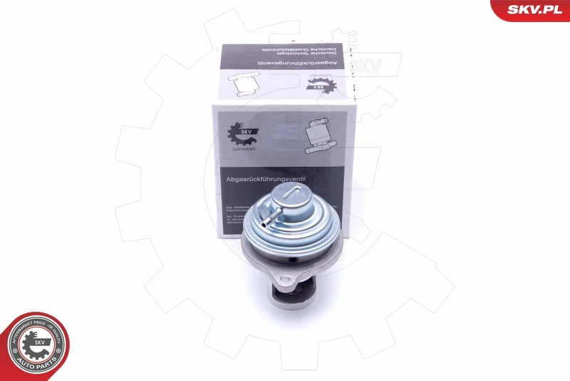 EGR Valve